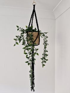 a plant hanging from the ceiling in a room with white walls and green plants on it