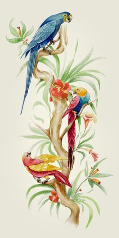 two parrots sitting on top of a tree branch with leaves and flowers around them