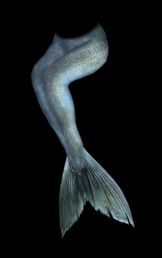 an image of a fish that is swimming in the dark water with its tail extended