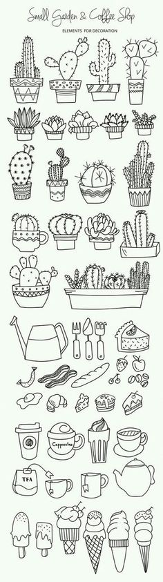 a drawing of different kinds of cactuses and cacti on display in black ink