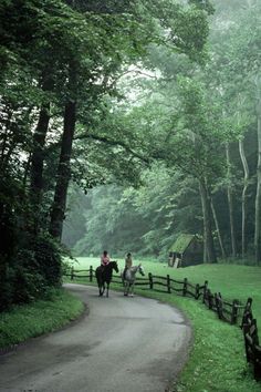 two people riding horses down a country road