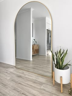 a large mirror sitting on top of a wooden floor next to a potted plant