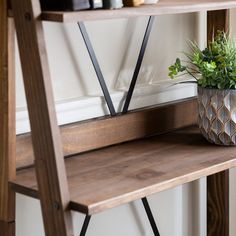 a potted plant sitting on top of a wooden shelf next to a wall mounted wine rack