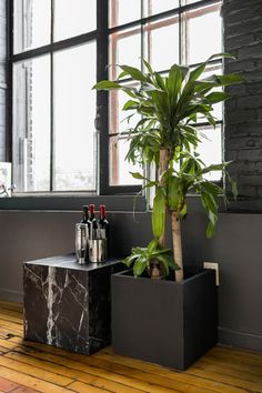 two black planters with drinks on them in front of a window