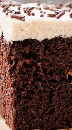 a piece of chocolate cake with frosting and chocolate chips on the top is sitting on a plate