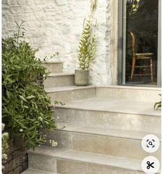 some plants are growing on the steps in front of a house