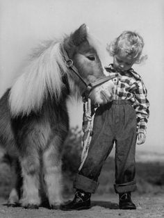 an old photo of a little boy petting a pony