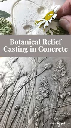 botanical relief casting in concrete with text overlay that reads botanical relief casting in concrete