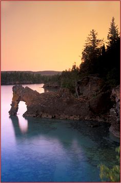 a large body of water surrounded by trees