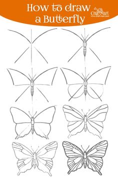 how to draw a butterfly for kids