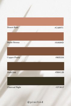 the color palette is brown, white and tan with some light coming from behind it