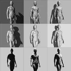 multiple images of the human body in different positions and sizes, including male torsos