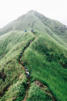 a group of people hiking up the side of a green mountain with grass on both sides