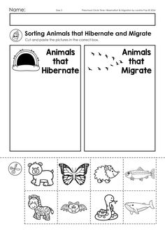 an animal habitat worksheet with pictures and words to help students understand what animals are