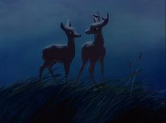 two deer standing next to each other on top of a grass covered field at night