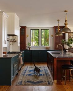 a cat walking in the middle of a kitchen with dark green cabinets and wood floors