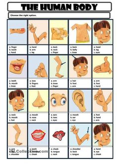 the human body chart with pictures of different facial expressions and their corresponding parts to describe