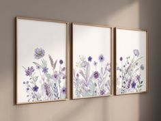 three framed art prints with purple flowers on the wall next to a window in a room