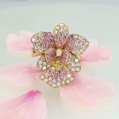 Vanda Miss Joaquim Orchid Flower 18K Rose Gold ring 42 diamonds 0.58ct 67 pink sapphire 0.97ct 5 yellow sapphire 0.06ct Ring weighs approx. 7gm (depending on ring size) Dimension: Height 24mm Width 21mm Please let us know your ring size and we will adjust accordingly. Please note that price may vary for larger sizes. Luxury Pink Multi-stone Sapphire Ring, Pink Multi-stone Sapphire Diamond Ring, Pink Multi-stone Sapphire Ring With Diamond, Pink Sapphire Multi-stone Ring With Diamond, Rose Gold Multi-stone Sapphire And Diamond Ring, Rose Gold Sapphire Ring With Multi-stone Diamond, Vanda Miss Joaquim Orchid, Vanda Miss Joaquim, Orchid Ring