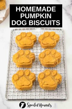 homemade pumpkin dog biscuits on a cooling rack with the words homemade pumpkin dog biscuits