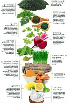 an info sheet with different types of vegetables