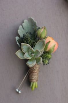 a bunch of succulents wrapped in twine