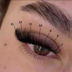 RareBae : CAT EYE LASH MAP  Show your lash tech this perfect cat eye volume whispy set 7-12mm  credit; @ballylashes_ on ig  #forbaddiesonly {follow for daily content} Cat Eye Extensions Map, Cat Volume Lashes, Hybrid Kitten Eye Lash Extensions, Lash Map Cat Eye Volume, Lash Map Natural Cat Eye, Fox Lash Map, Round Eye Lash Map, Short Cat Eye Lash Extensions Map