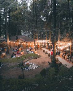 a group of people sitting in the woods at night with string lights strung from trees