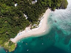 an aerial view of a sandy beach and forested area next to the ocean with people on it