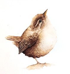 a watercolor painting of a brown bird on a white background with the words, i am not sure what this is