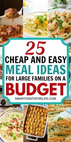 25 cheap and easy meal ideas for large families on a budget that are sure to make