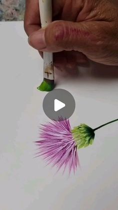 someone is drawing flowers with colored pencils on the paper and then they are drawn