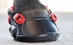 the back end of a horse's shoe with red and black buckles on it