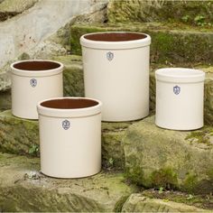 four white pots sitting on top of moss covered rocks