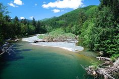 a river running through a forest filled with lots of green trees and water surrounded by mountains