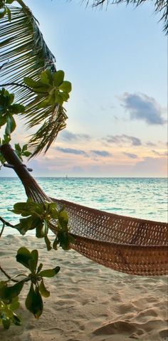 a hammock on the beach at sunset