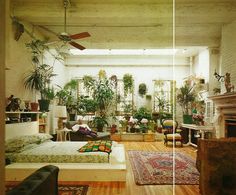 a living room filled with furniture and lots of plants