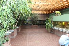 a man sitting on a bench in front of a fish tank with plants growing out of it