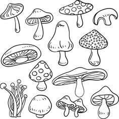 black and white drawing of various types of mushrooms