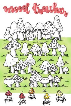 a bunch of mushrooms that are in the grass with words above them and below it, there is an image of several different types of mushrooms