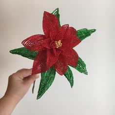 a hand holding a red and green poinsettia ornament with leaves