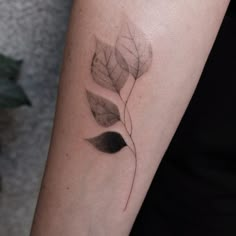 a woman's arm with a leaf tattoo on it