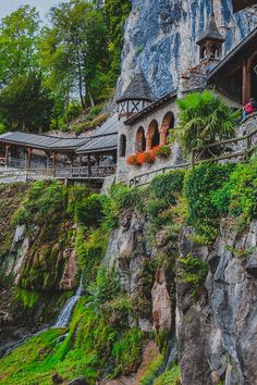 people are standing on the side of a cliff with green plants and flowers growing out of it