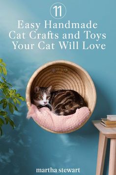 a cat laying in a pink bed on top of a wooden table next to a potted plant