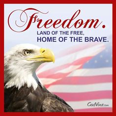 an eagle with the american flag in the background and a quote that reads, freedom land of the free home of the brave