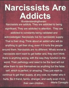 Narcisstic Quotes Relationships, Surviving Narcissism Quotes, Unintelligent People, Narcisstic Quotes, Narcissistic Supply, Breathing Fire