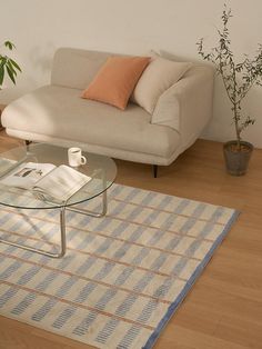 a living room with a couch, coffee table and potted plant on the floor