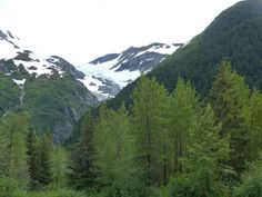 the mountains are covered in snow and green trees with no leaves on them, as well as some tall evergreens