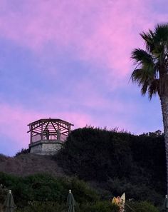 a palm tree sitting on top of a lush green hillside next to a building under a purple sky