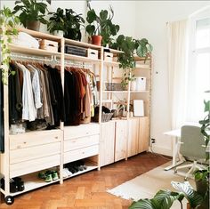 a room with plants and clothes on shelves